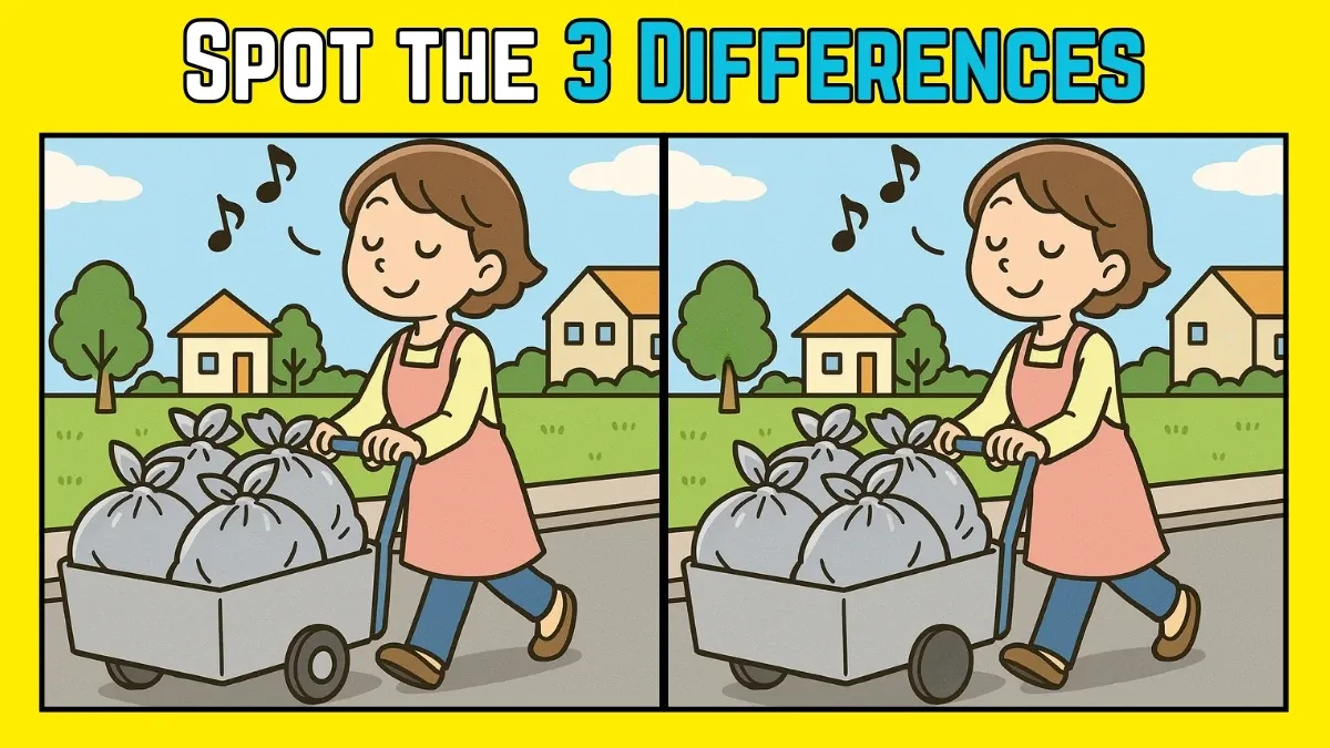 Street Vendor Puzzle: Can You Find 3 Differences in This Image Within 8 Seconds?